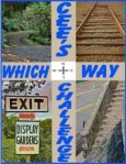 which-way